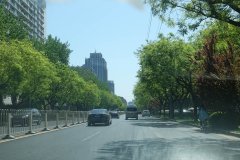 DSC00036 (2)