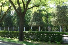 DSC00037 (2)