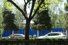 DSC00040 (2)