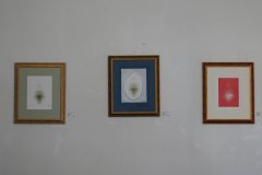 DSC00105