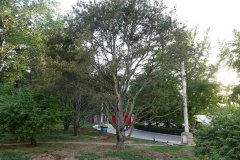 DSC00170