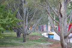 DSC00171