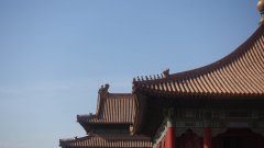 DSC00547