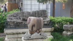 DSC00559