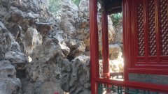 DSC00560