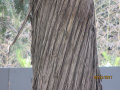 IMG 2025